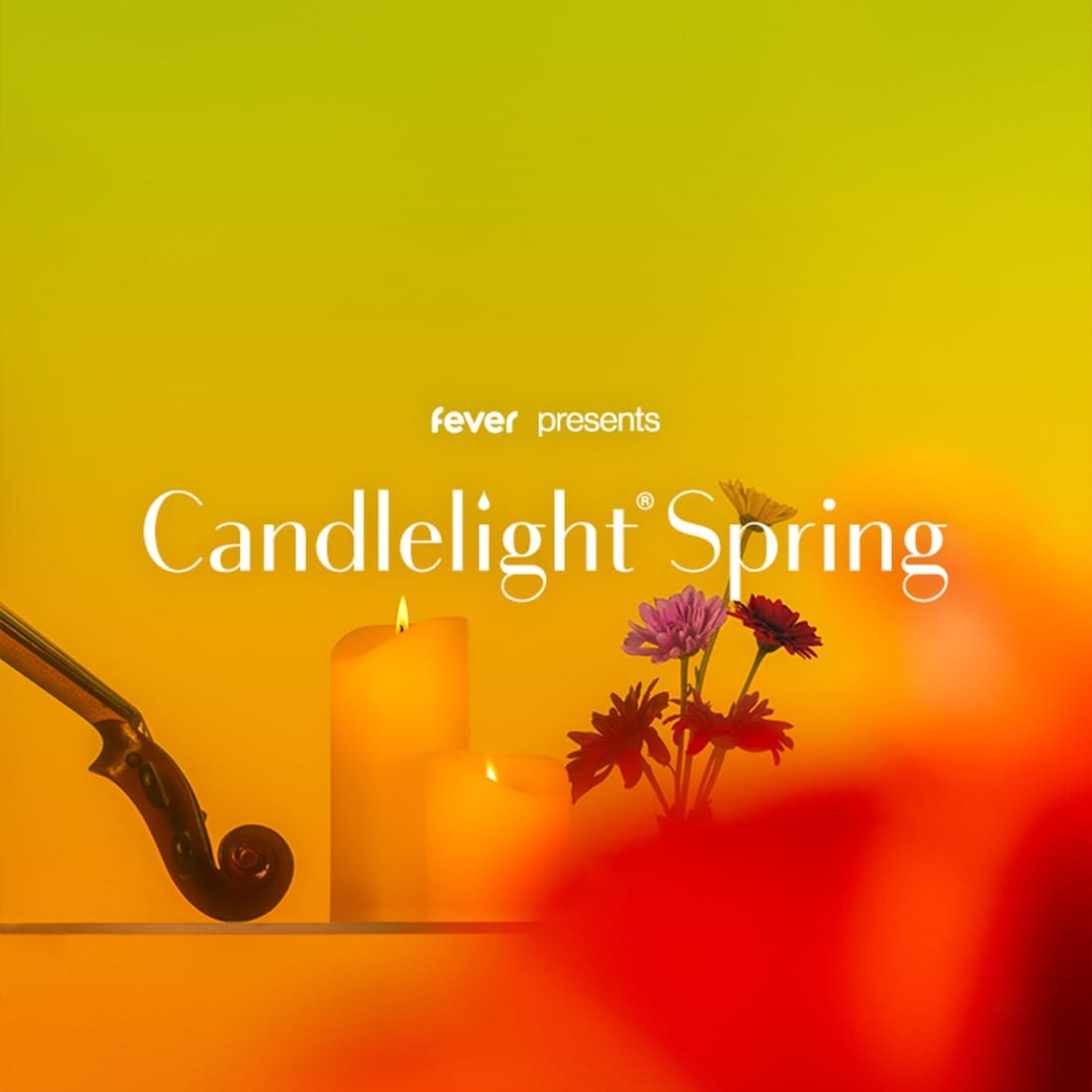 Candlelight Spring: Tribute an Adele