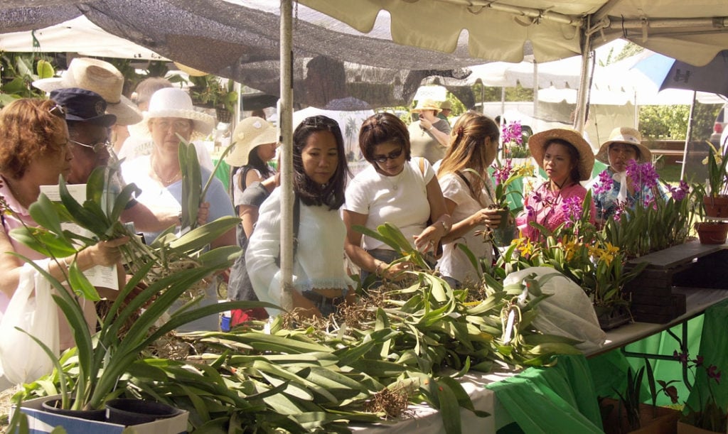 Festival Internacional de Orquídeas de Redland