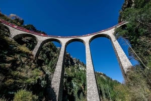 Milano: Biglietti per il treno del Bernina e del ghiacciaio e tour di Sankt Moritz