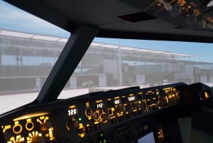 Boeing 737-800 Professionele simulator - 30 minuten