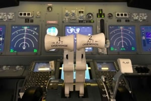 Boeing 737-800 Professionele simulator - 30 minuten