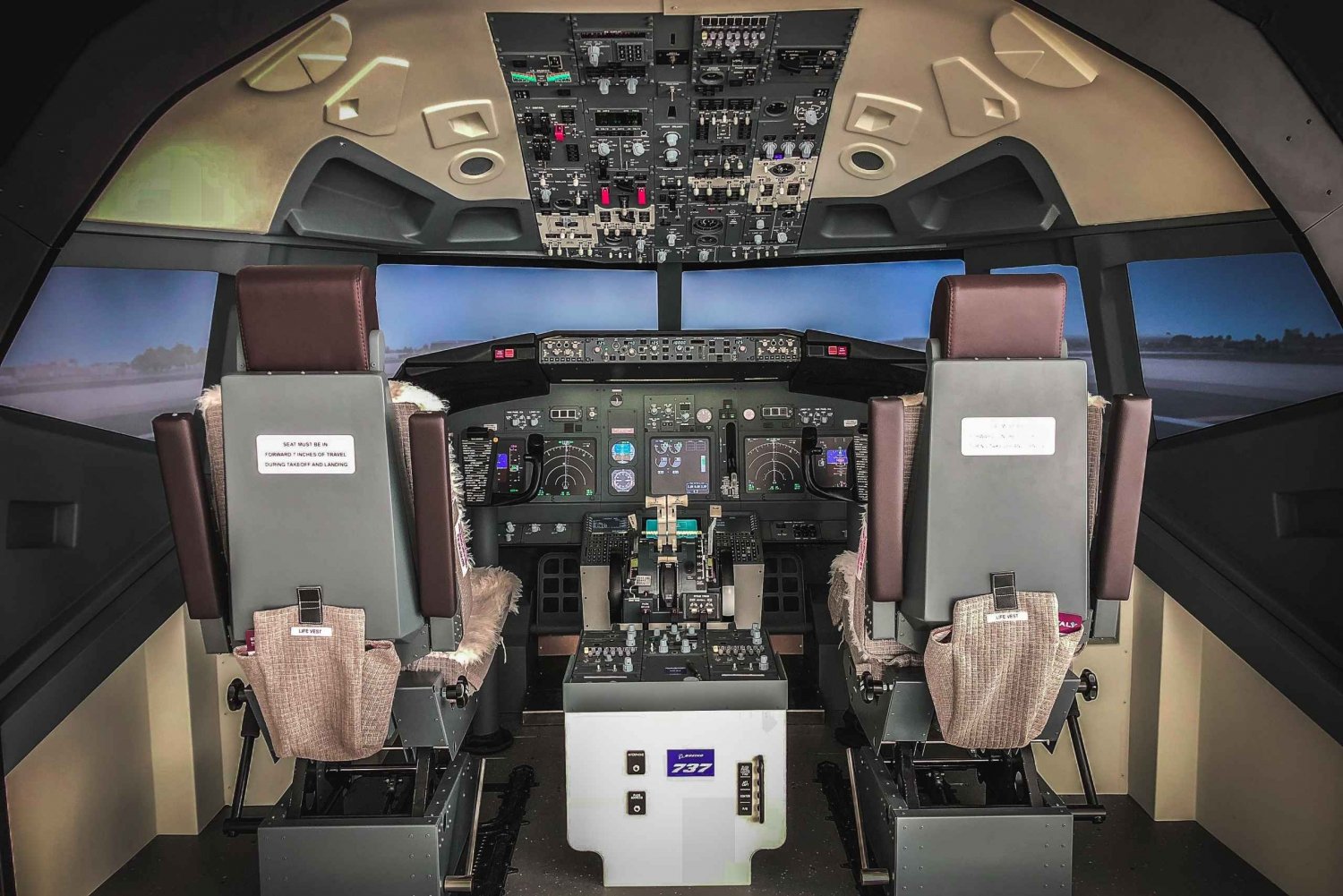 Boeing 737-800NG Professional flight simulator - 50 minutes