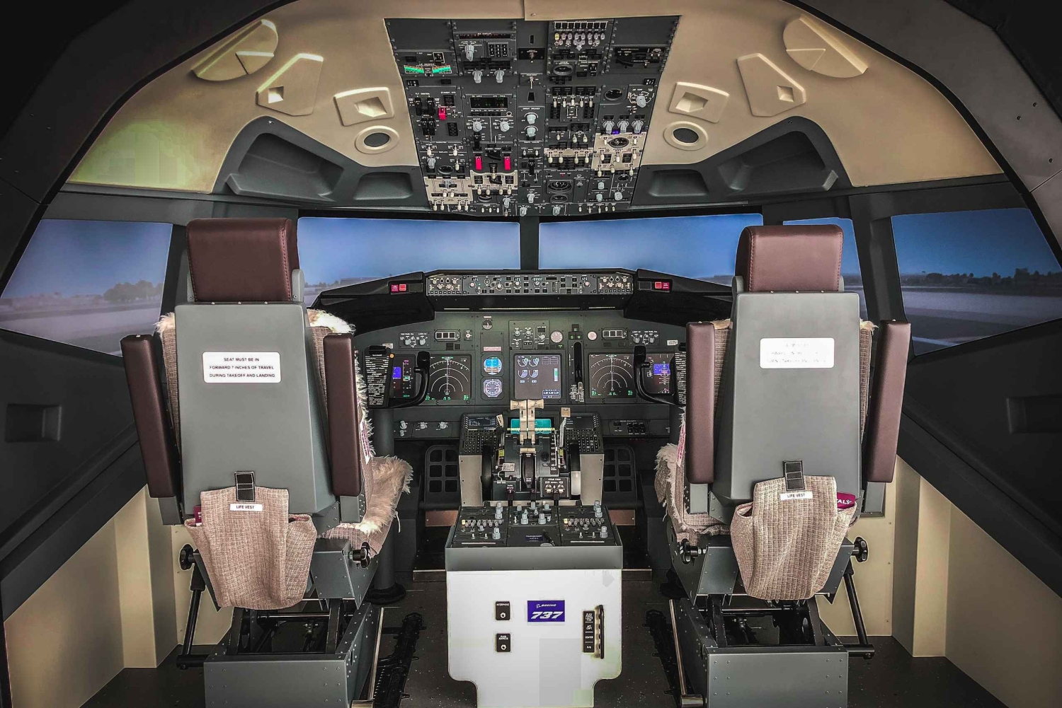 Boeing 737-800NG Professional flight simulator - 50 minutes