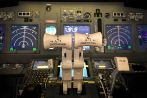 Simulateur de vol professionnel Boeing 737-800NG - 50 minutes