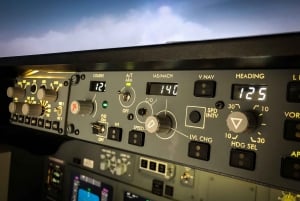 Simulateur de vol professionnel Boeing 737-800NG - 50 minutes