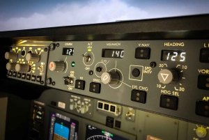 Boeing 737-800NG Professional flight simulator - 50 minutes