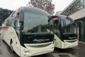 Brescia: Traslado en autobús compartido desde/hacia el aeropuerto de Milán Bérgamo
