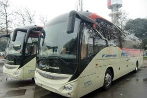 Brescia: Shared Bus Transfer to/from Milan Bergamo Airport