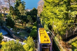 Milanosta: Varenna ja Comojärven risteilypäiväretki
