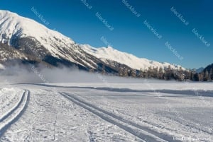 DAVOS WEF: Privater TRANSFER zum/vom Flughafen Mailand Malpensa