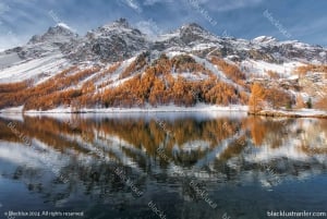 DAVOS WEF: Privater TRANSFER zum/vom Flughafen Mailand Malpensa