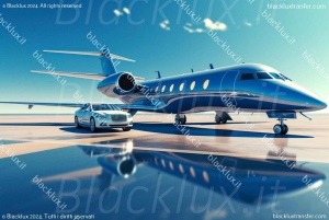 DAVOS WEF: Private TRANSFER to/from Milano Malpensa Airport