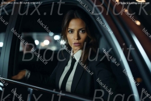 DAVOS WEF: Private TRANSFER to/from Milano Malpensa Airport