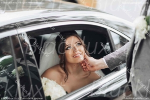 DAVOS WEF: Private TRANSFER to/from Milano Malpensa Airport