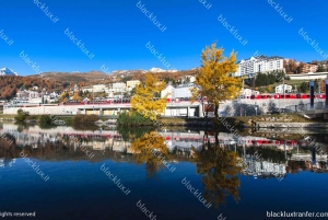 DAVOS WEF: Private TRANSFER to/from Milano Malpensa Airport