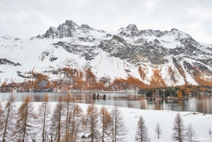 DAVOS WEF: Private TRANSFER to/from Milano Malpensa Airport