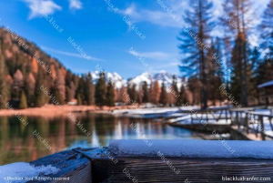 DAVOS WEF: Private TRANSFER to/from Milano Malpensa Airport