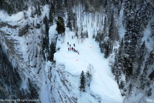 DAVOS WEF: Private TRANSFER to/from Milano Malpensa Airport