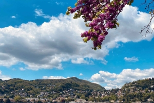 Upptäck Comosjön & Bellagio med en lokal guide