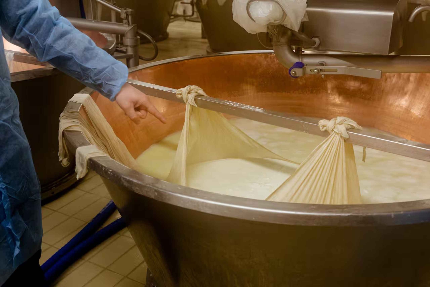 Saveurs d'Émilie : parmesan, vinaigre balsamique, charcuterie et vins