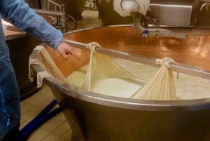 Saveurs d'Émilie : parmesan, vinaigre balsamique, charcuterie et vins