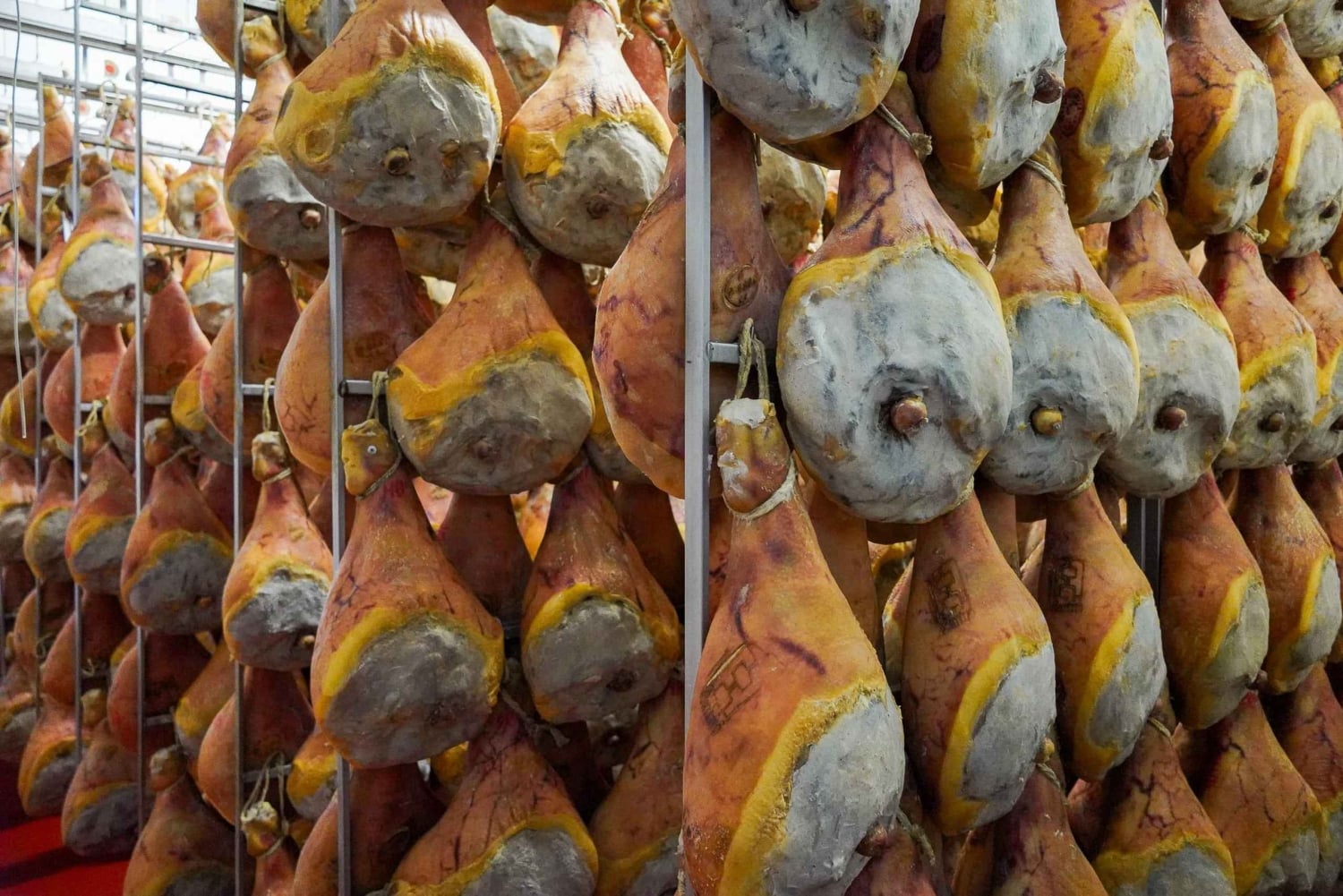 Från Bologna/Milano/Florens till Parma i 1:a klass: Parmigiano och Prosciutto DOP