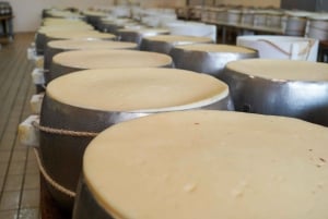 Från Bologna/Milano/Florens till Parma i 1:a klass: Parmigiano och Prosciutto DOP