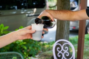 Från Bologna/Milano/Florens till Parma i 1:a klass: Parmigiano och Prosciutto DOP