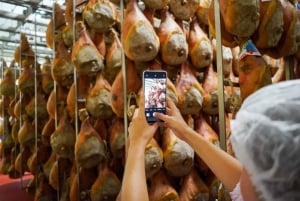 Från Bologna/Milano/Florens till Parma i 1:a klass: Parmigiano och Prosciutto DOP