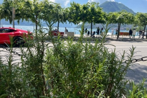 Z Como: Wycieczka do Bellagio i Lugano z rejsem po jeziorze Como