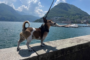 Z Como: Wycieczka do Bellagio i Lugano z rejsem po jeziorze Como