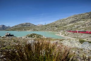 From Como: St. Moritz and Tirano Trip with Bernina Express