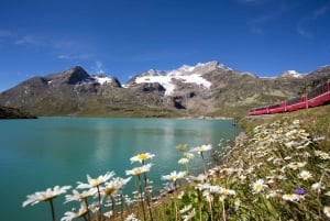 From Como: St. Moritz and Tirano Trip with Bernina Express