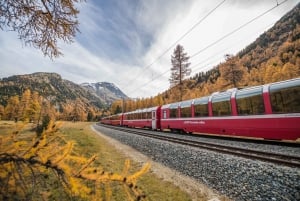 From Como: St. Moritz and Tirano Trip with Bernina Express