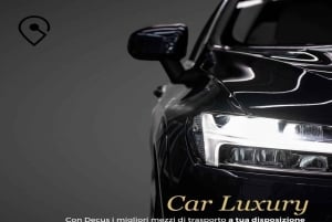 From Malpensa airport : Private 1-Way Transfer to Como