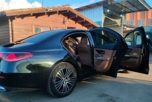 From Malpensa airport : Private 1-Way Transfer to Como