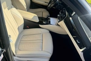 From Malpensa airport : Private 1-Way Transfer to Como