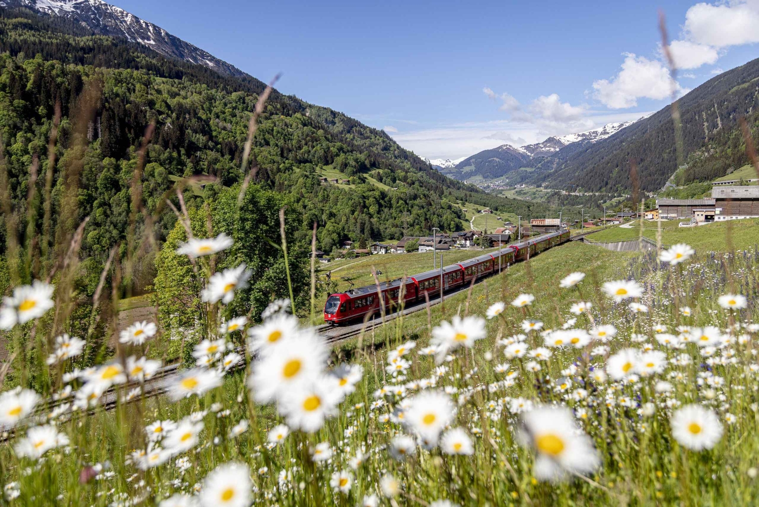 Desde Milán: Tren Rojo Bernina a St Moritz Tour guiado