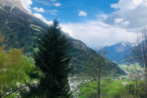 Desde Milán: Tren Rojo Bernina a St Moritz Tour guiado