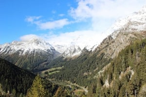 From Milan: Bernina Train Day Trip to Tirano & St. Moritz