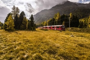 From Milan: Bernina Train Day Trip to Tirano & St. Moritz