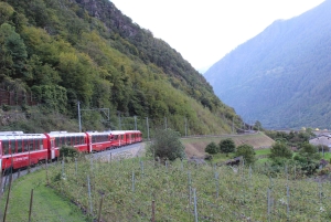Från Milano: Bernina-tåget dagsutflykt till Tirano & St. Moritz