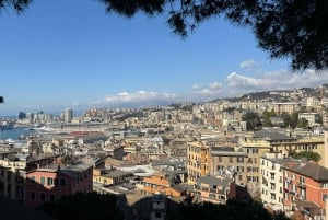 From Milan: Best of Genoa with Private Cruise to Portofino