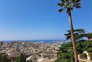 From Milan: Best of Genoa with Private Cruise to Portofino