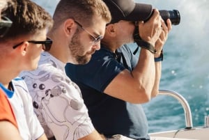 From Milan: Best of Genoa with Private Cruise to Portofino