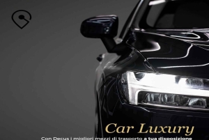 ミラノ中心部から：コモへのプライベート片道送迎