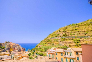 From Milan:Cinque Terre National Park with Limoncino Tasting