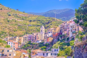 From Milan:Cinque Terre National Park with Limoncino Tasting