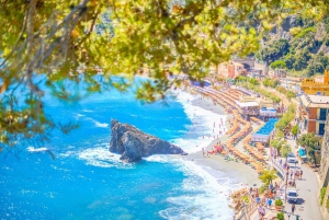 From Milan:Cinque Terre National Park with Limoncino Tasting
