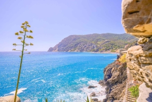 Desde Milán:Parque Nacional de las Cinque Terre con degustación de Limoncino